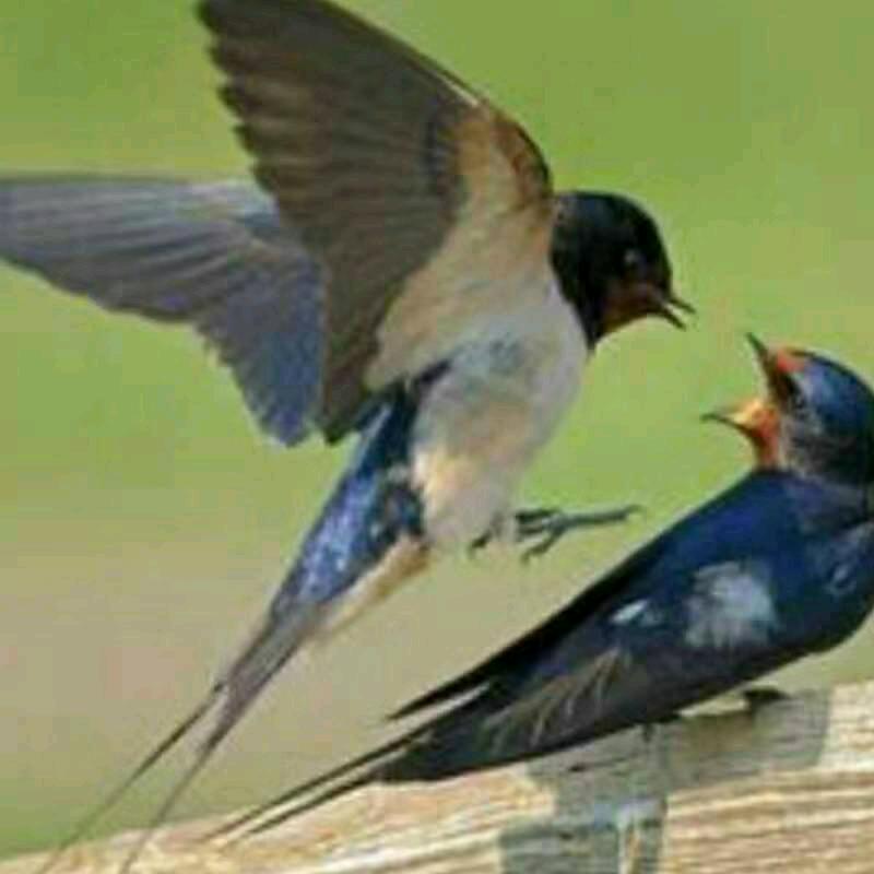 用户5167715240675冬日暖阳