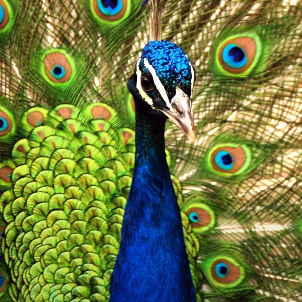 帅哥（*/∇＼*）