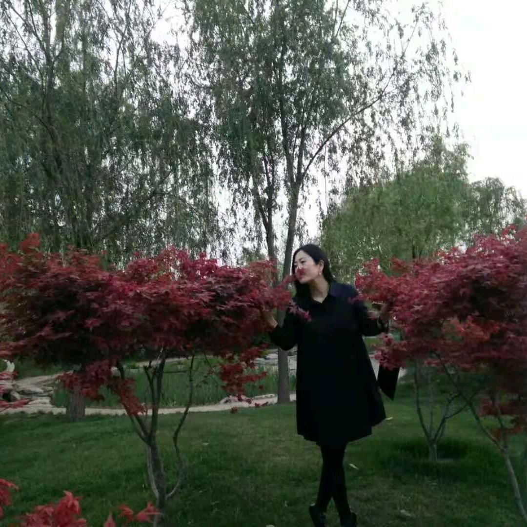 谁懂我心1679，郑州