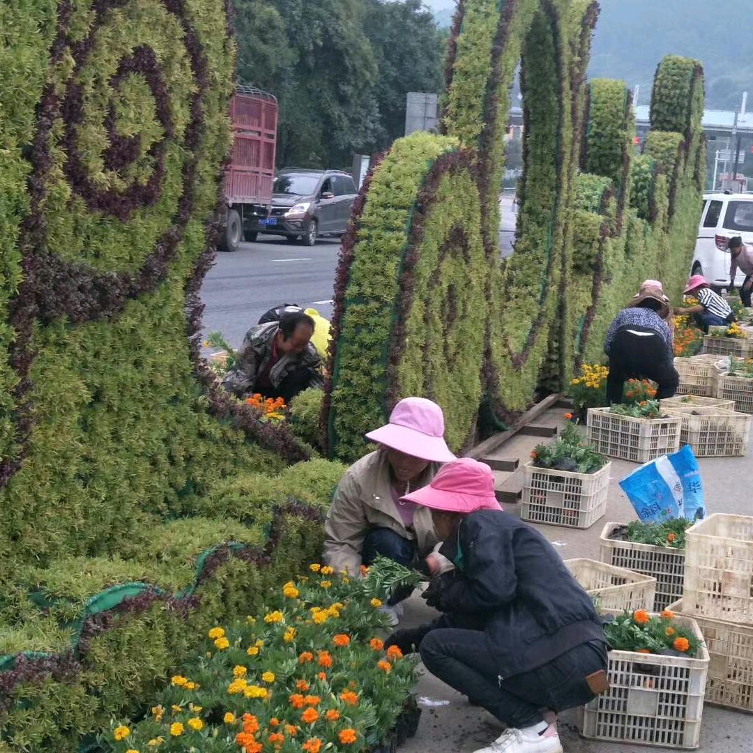 福泉市万景园艺
