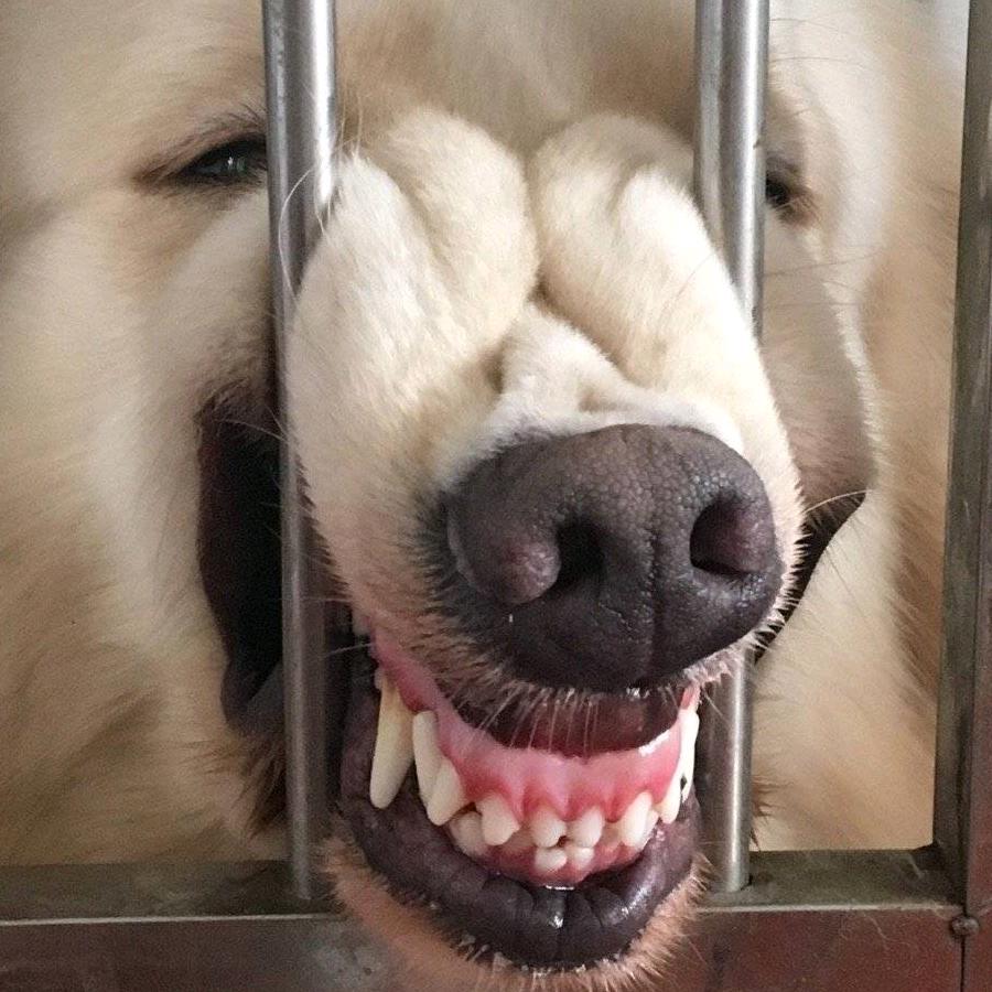 可烦了