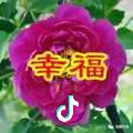 红姐