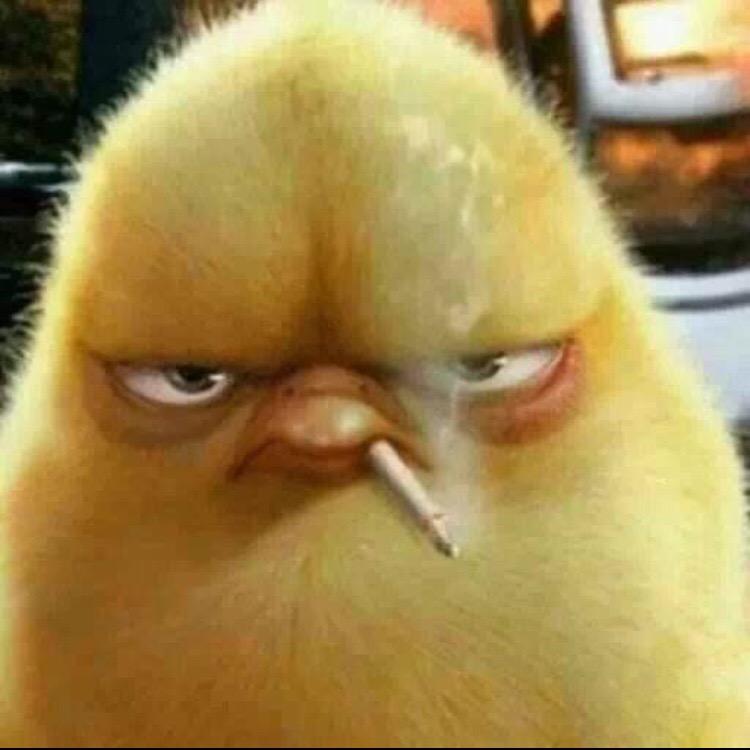 🌝