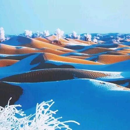 大鱼海棠