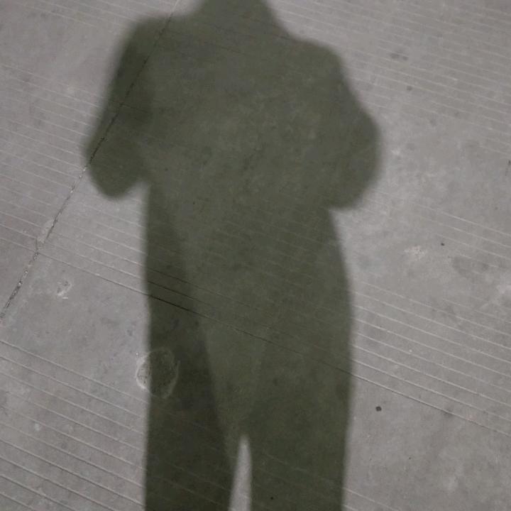一介グシ凡人
