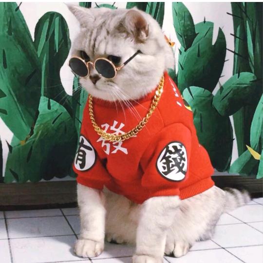 硪的人硪用命嗳