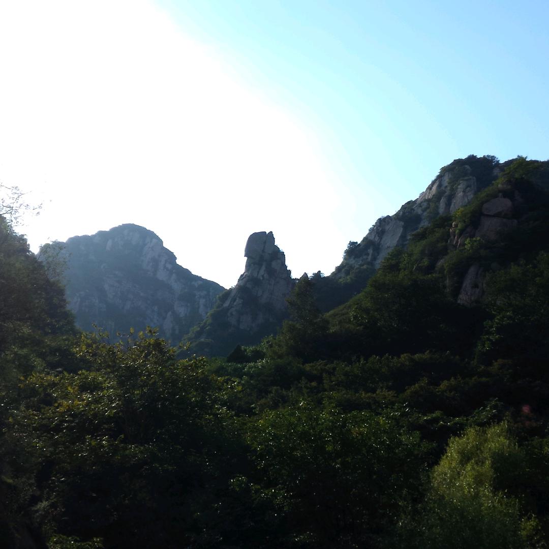 北