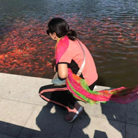 野百合（厨房家居好物分享）