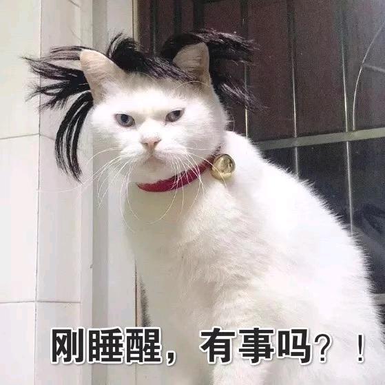 蛮蛮片