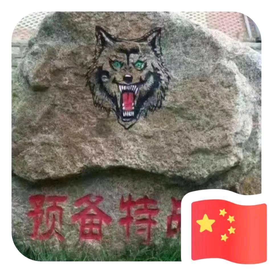 酒都搬运工