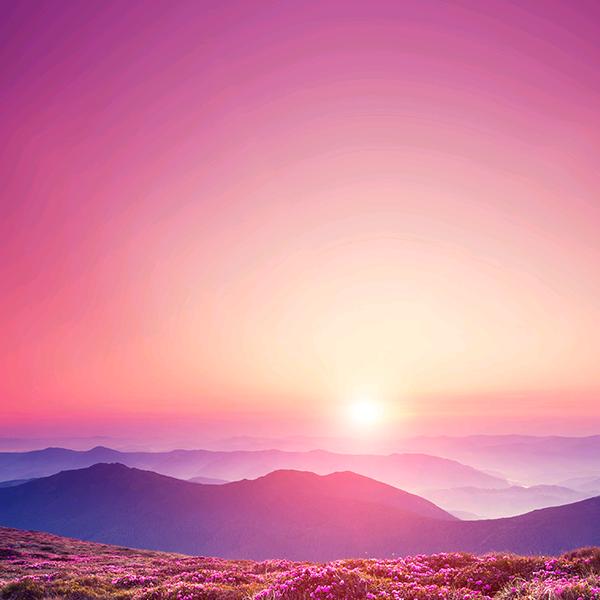 用户9024609199572阿妹