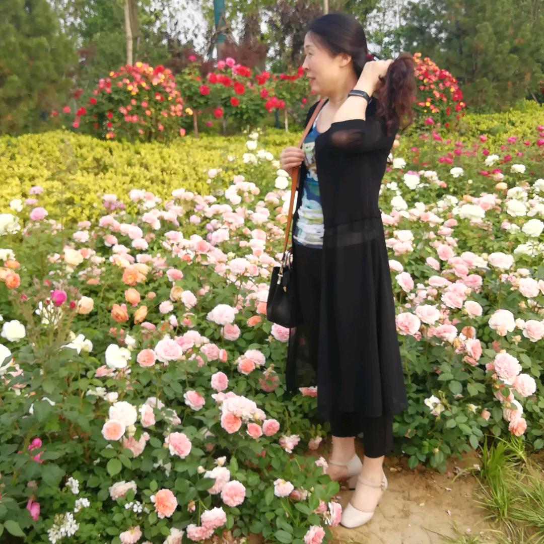 花语蝶