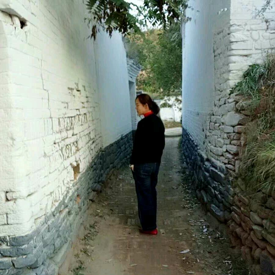 杨老保险🌺🌺🌺