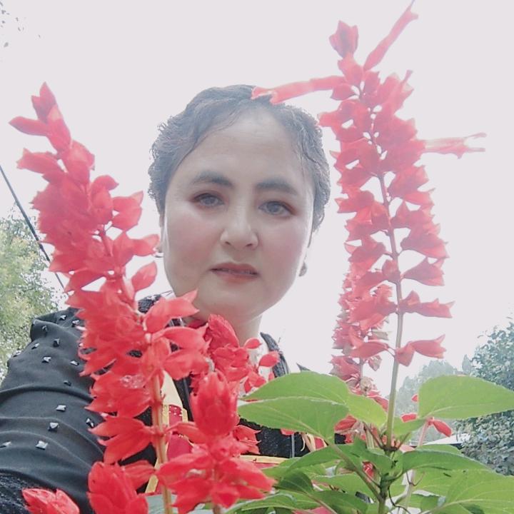 花非