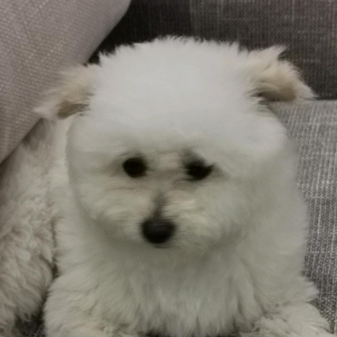 腾辉