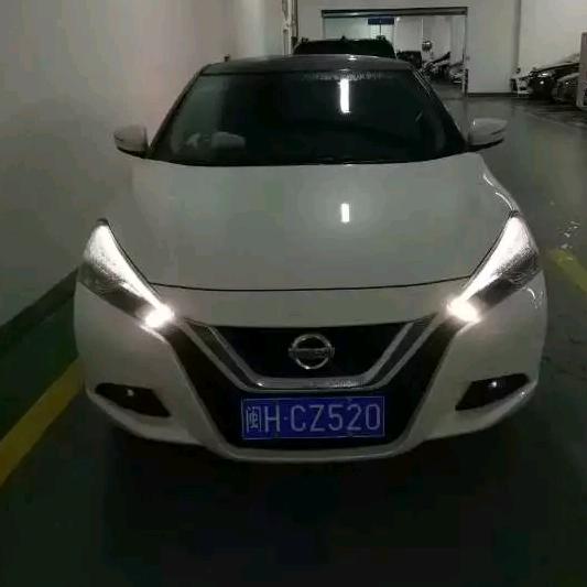 玫瑰天使