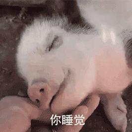 江湖游侠