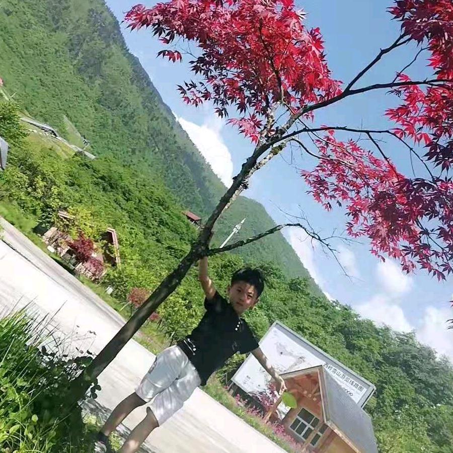 %%❤️美一天❤️%%