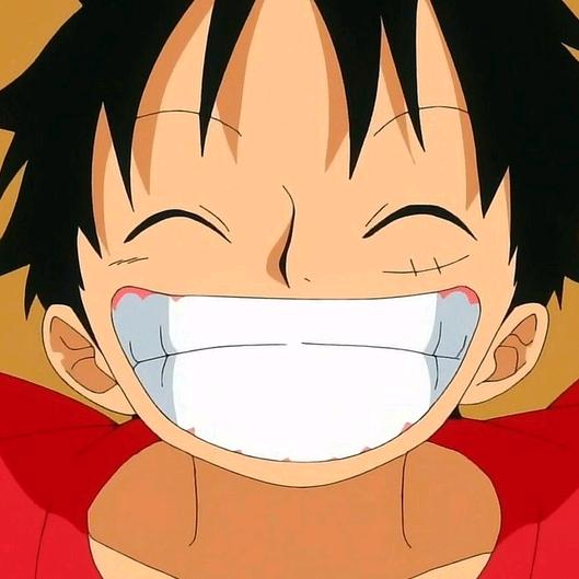 帅宝今天自律了吗