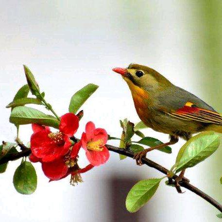 ꧁冀ℒℴѵℯ刘¹³¹⁴꧂