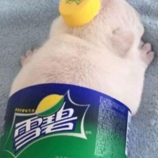 虎皮大辣椒