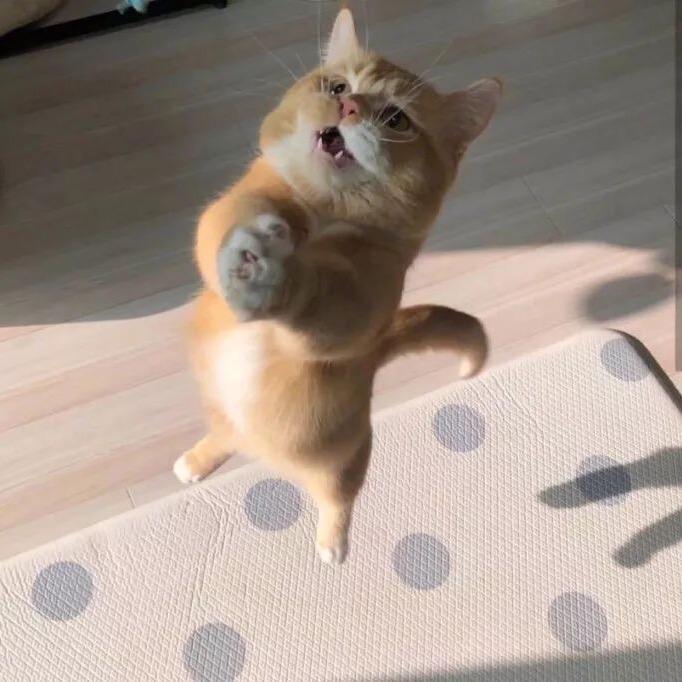 小余米。