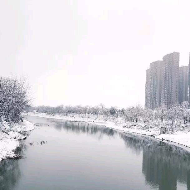 牛牛