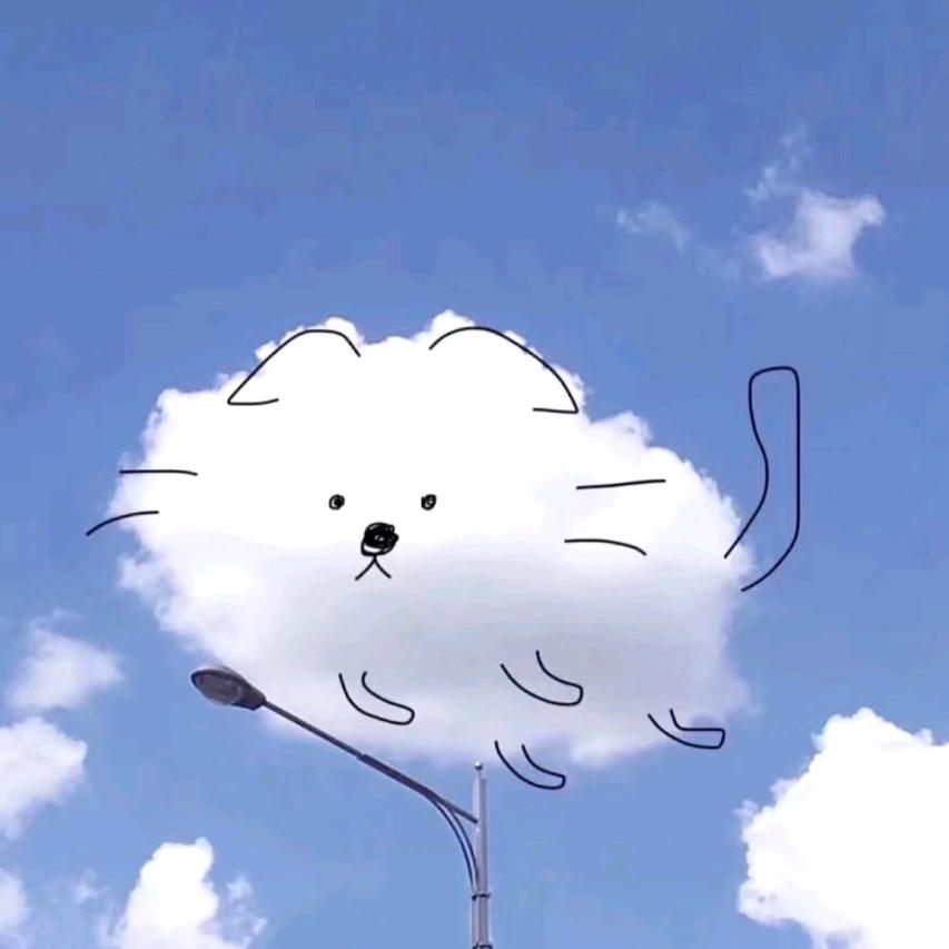 一匹天涯的野马