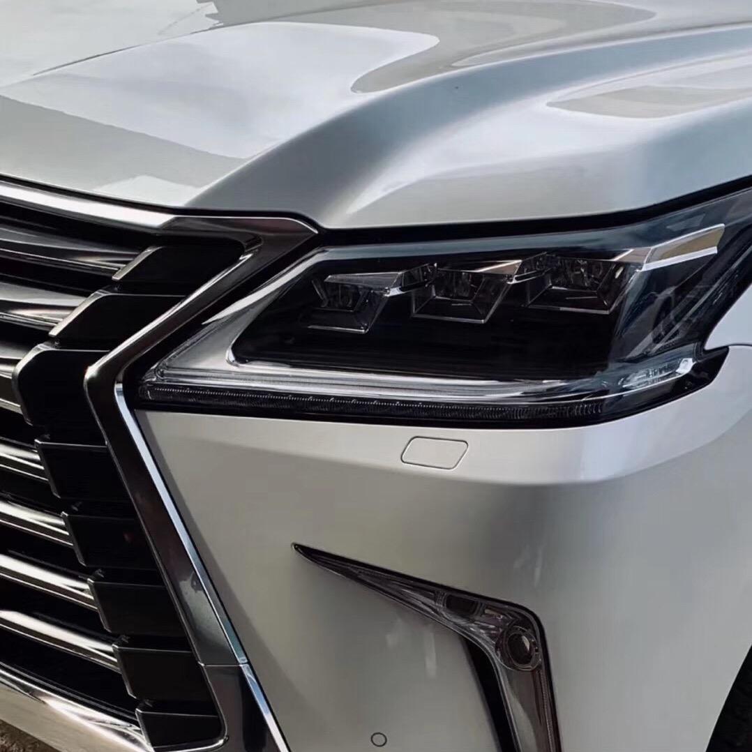 青海猛禽（虫草批发）