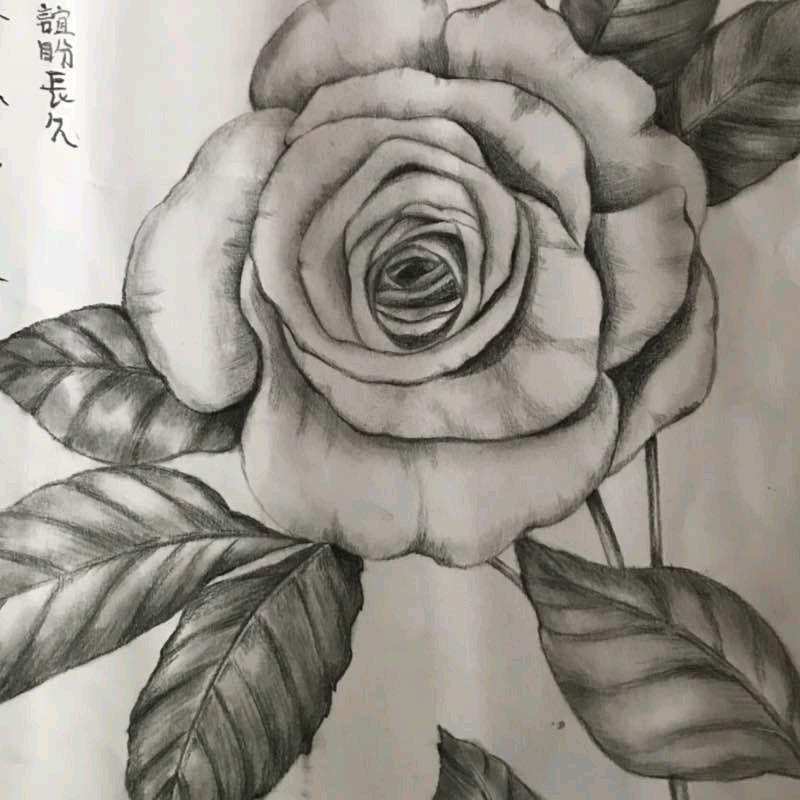 常青树，周末不忙，来趟衡阳！