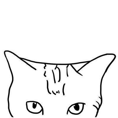 猫十一杭州