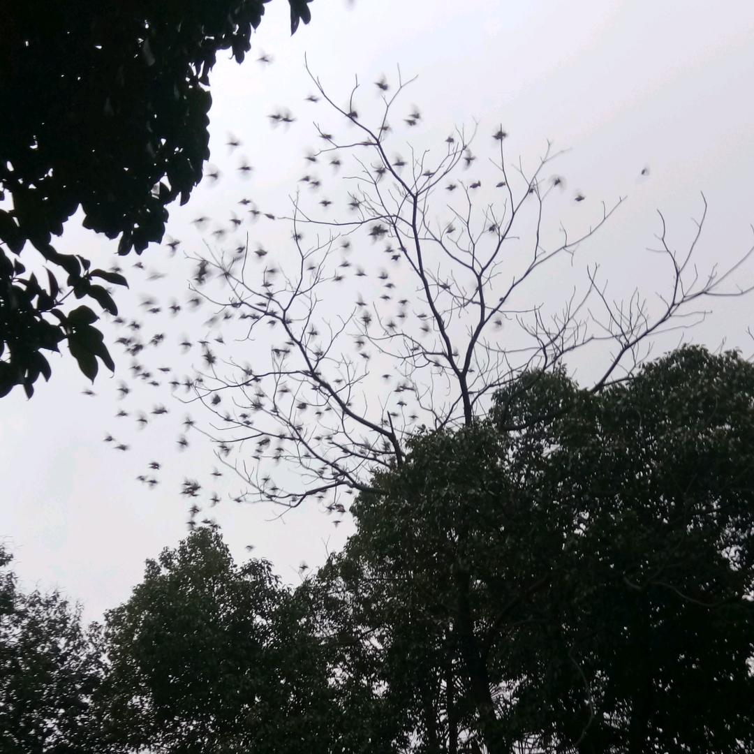耶罗在东莞