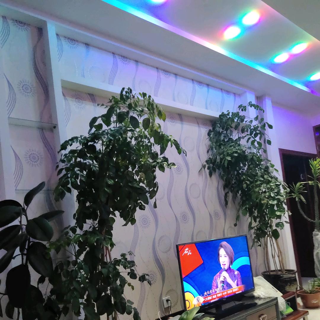 快乐明天