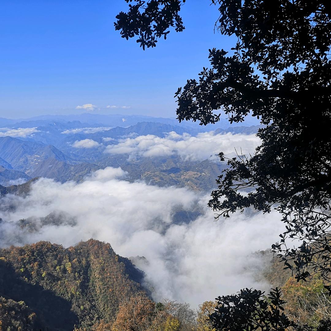 请叫我赵师傅844437760