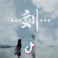 流星