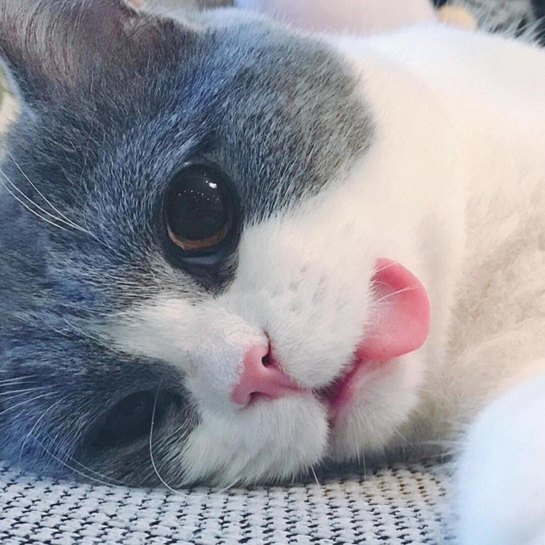 闹心