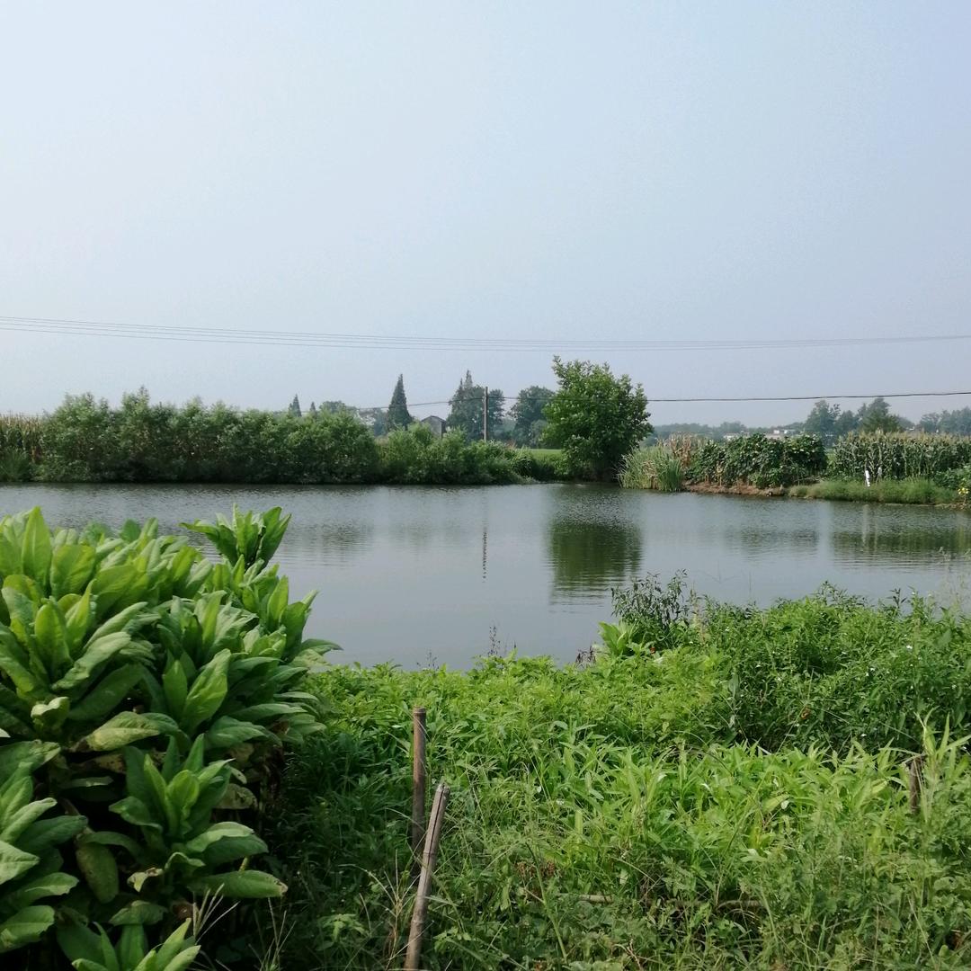 小静
