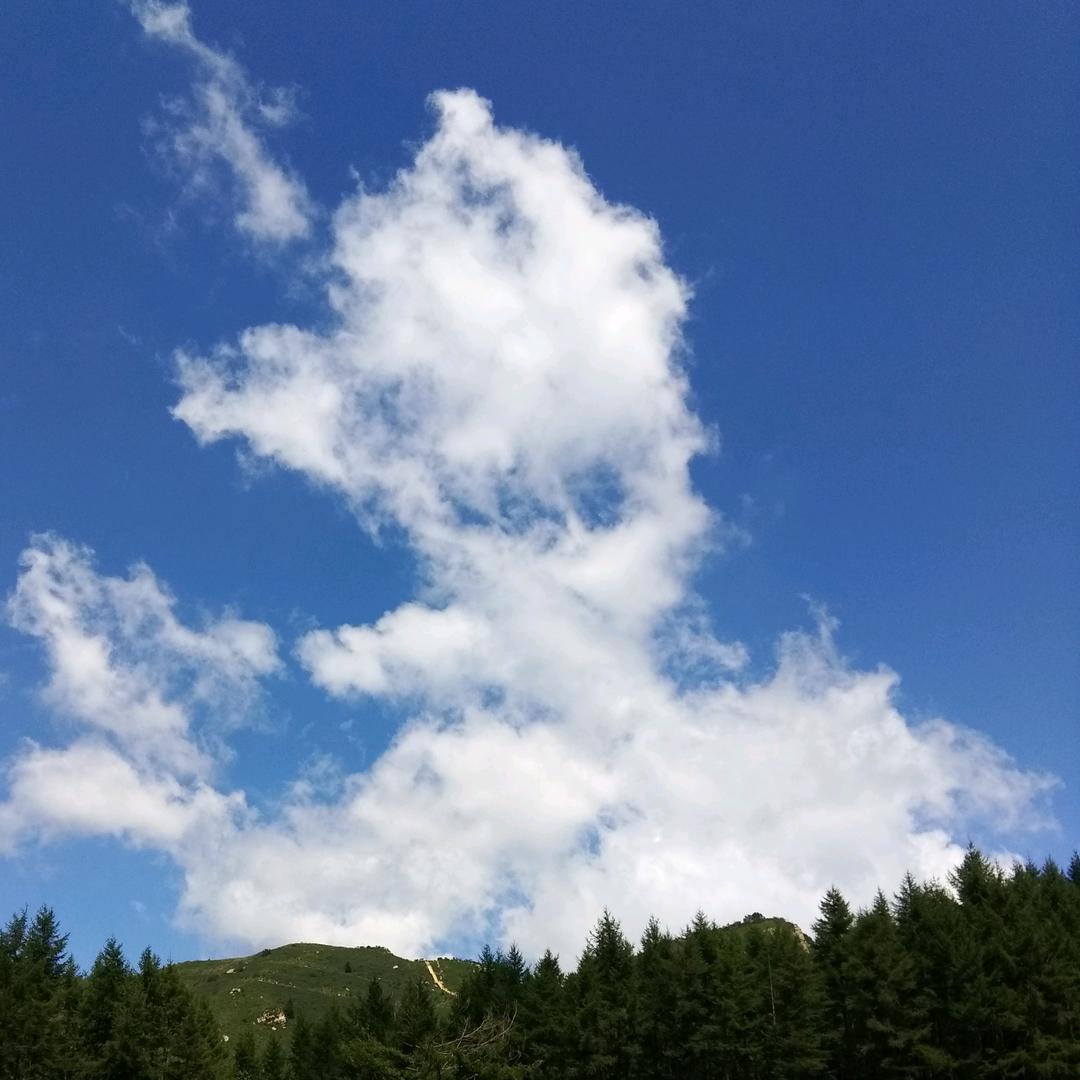 移动宽带