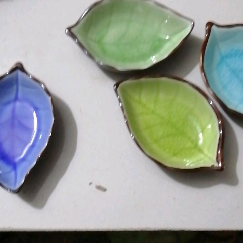 陈•散养鸽子🕊