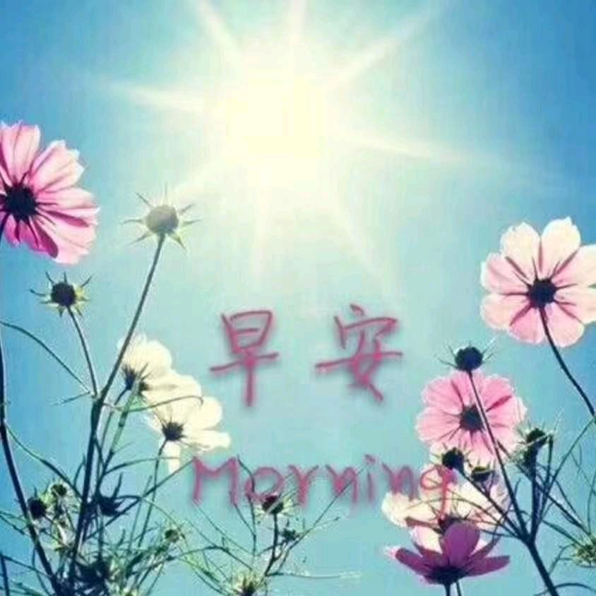 今晚的云