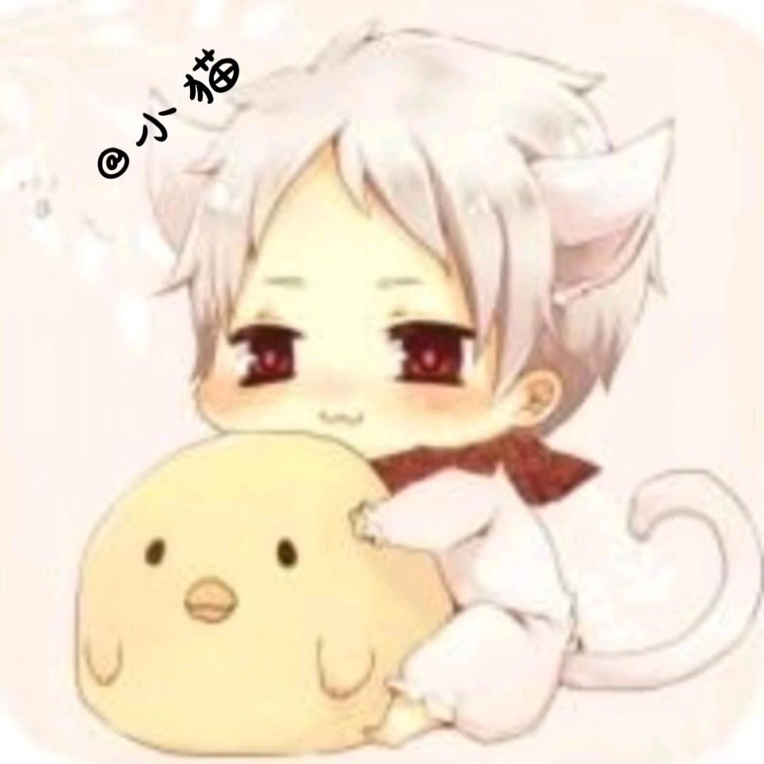 Cat_小猫