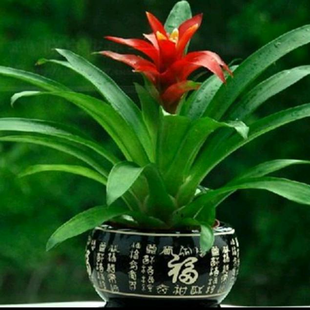 用户9954734395070潇洒的微笑