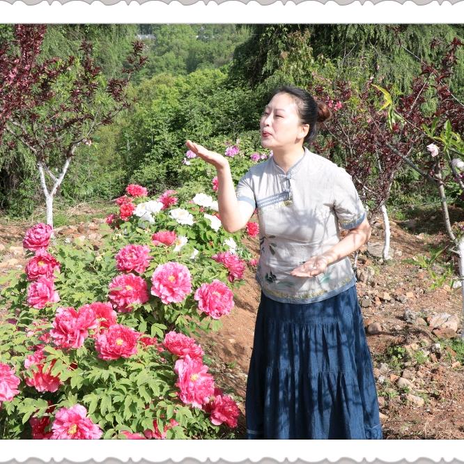 秋天的芭蕾