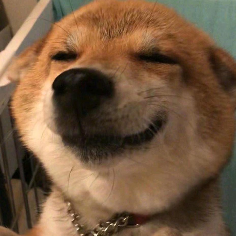 摸摸头