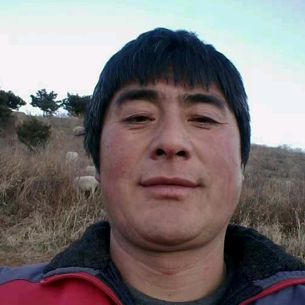 清风细雨王秀军