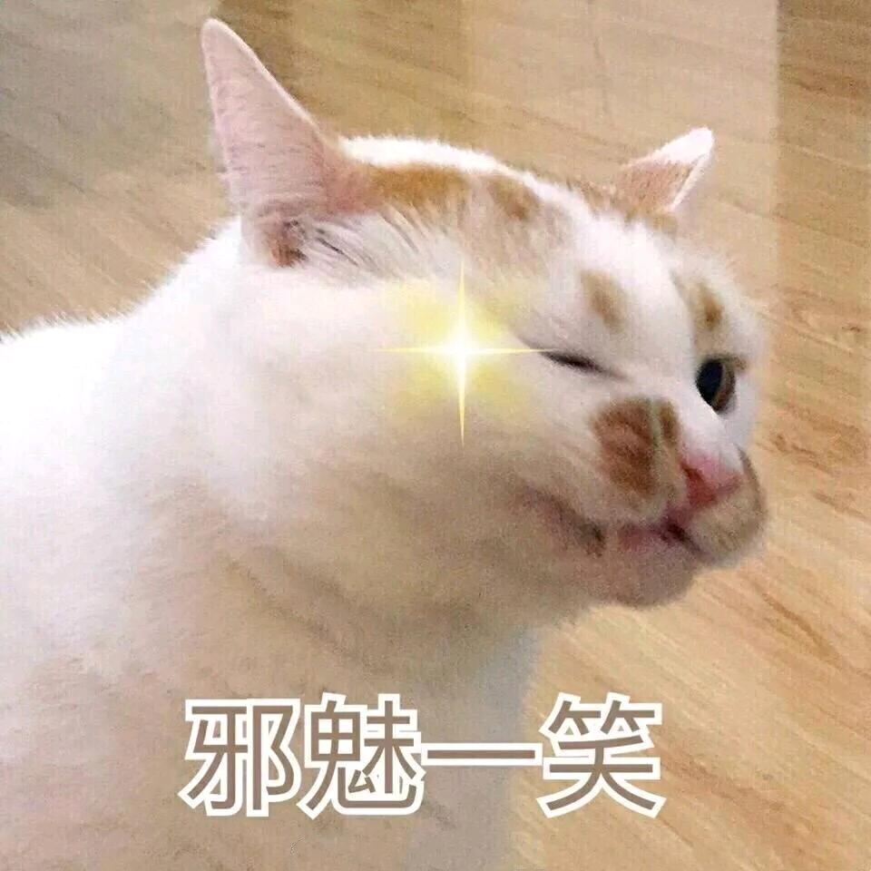 已重置