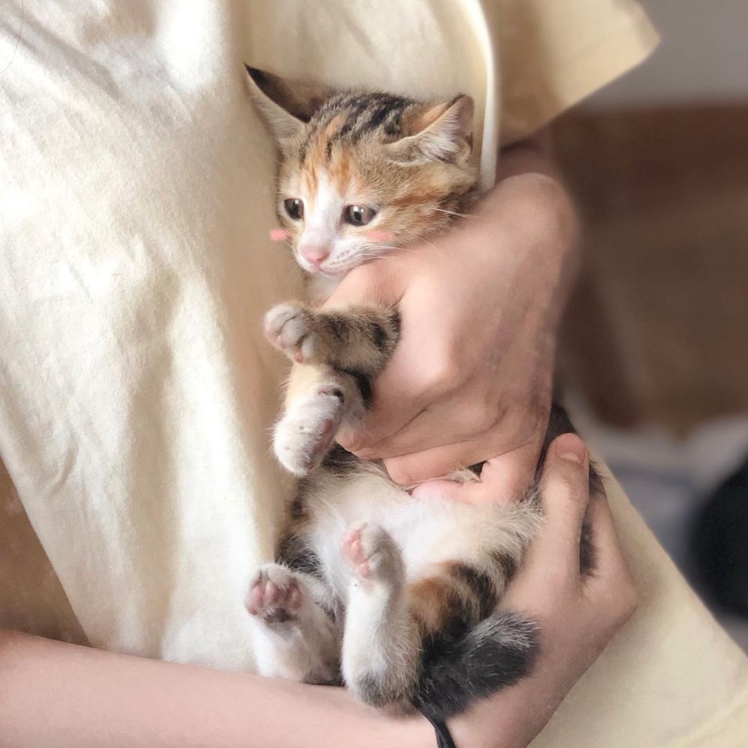 Nuissleeping