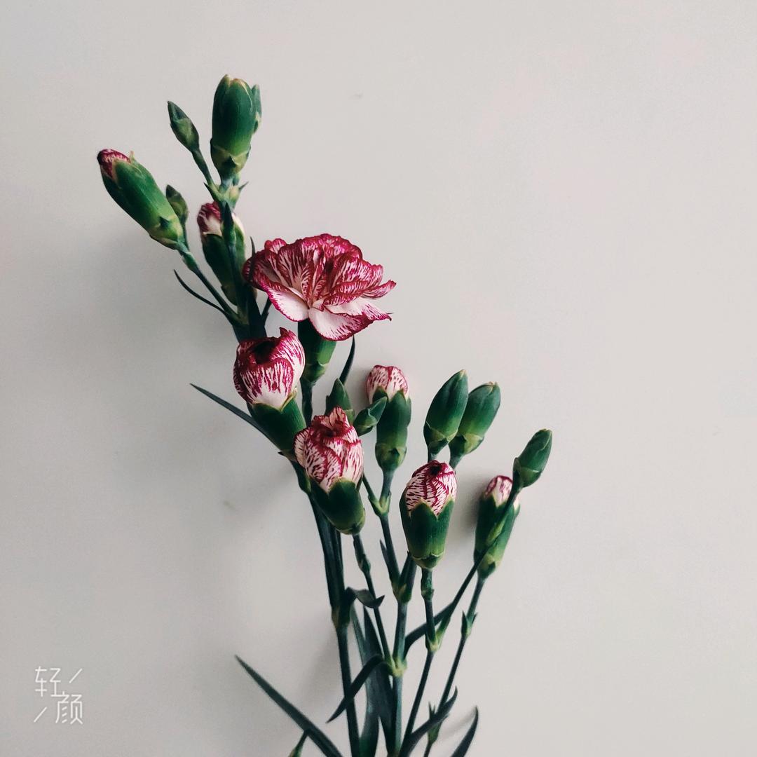 予💕宁