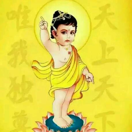 伯乐王子