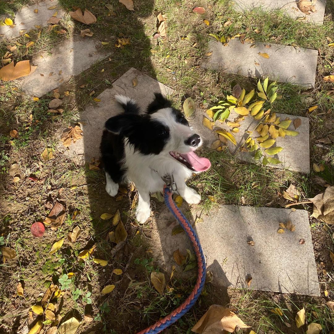 🌈赵照找着🏍️